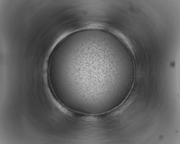 X0000101141235200807110935