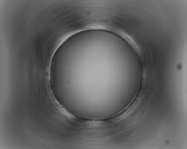 X0000101141236200807110935