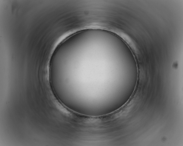 X0000101141238200807110935