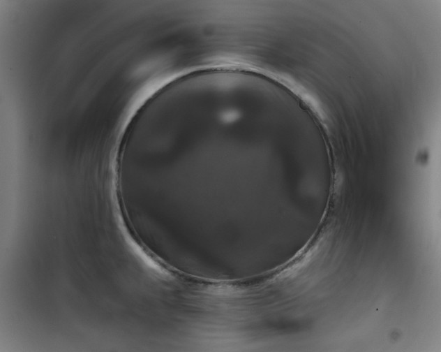 X0000101141239200807110935