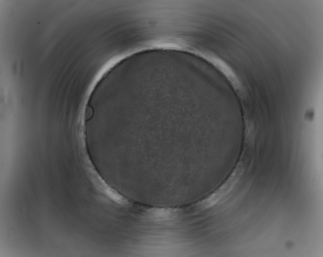 X0000101141240200807110935