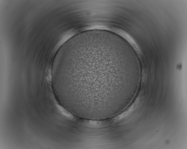 X0000101141241200807110935