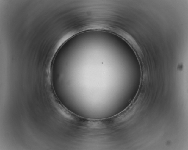 X0000101141242200807110935