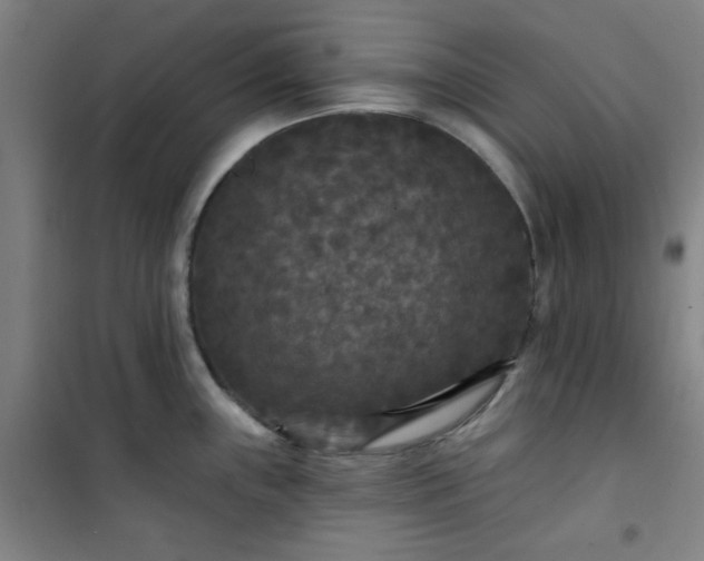 X0000101141243200807110935