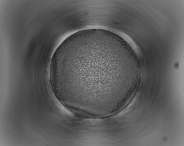 X0000101141244200807110935