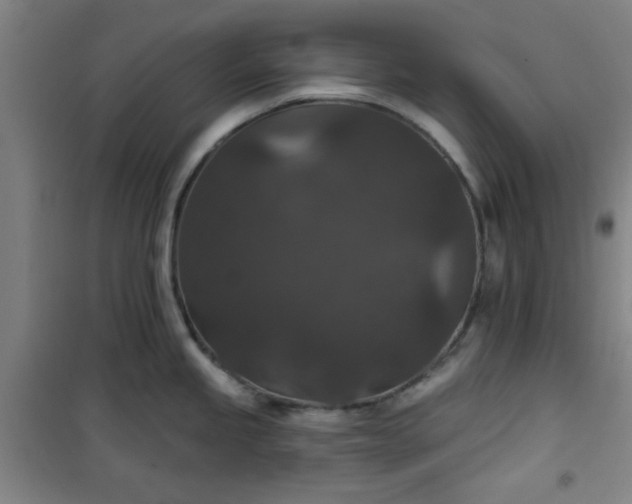 X0000101141245200807110935