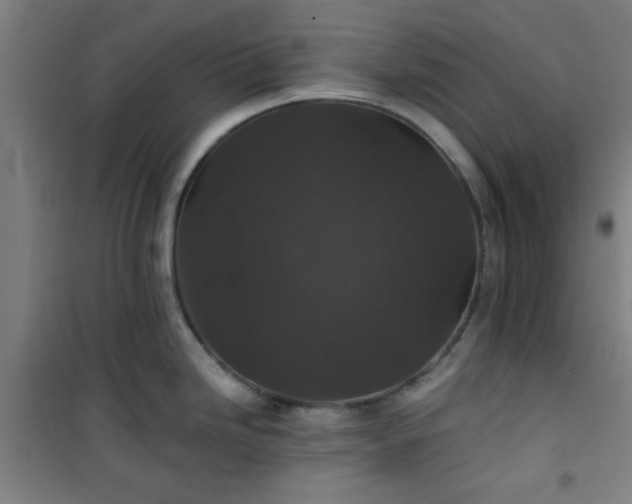 X0000101141246200807110935