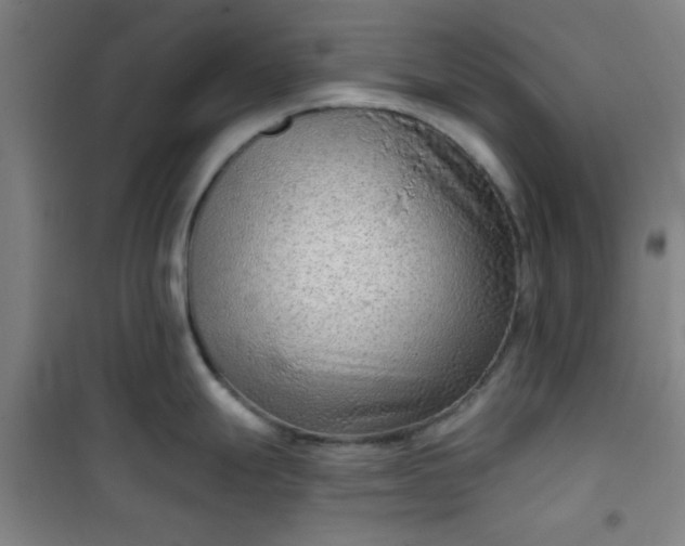 X0000101141247200807110935