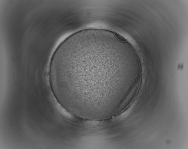 X0000101141248200807110935