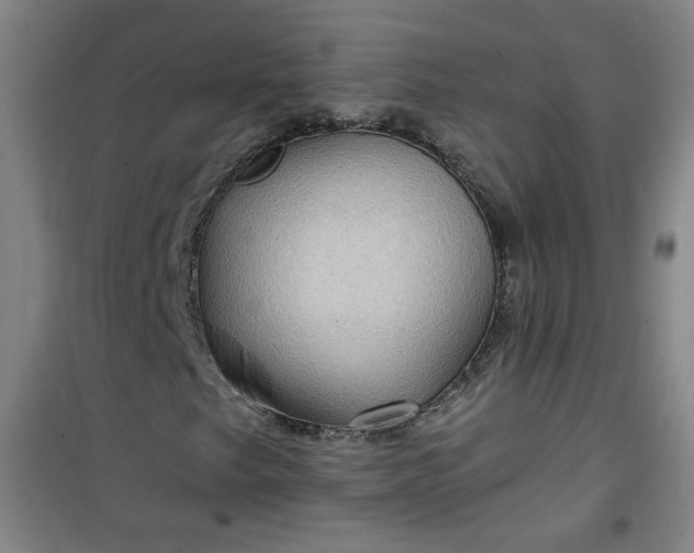 X0000101141249200807110934