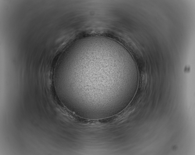 X0000101141250200807110934