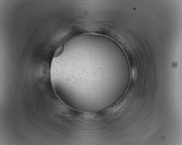 X0000101141251200807110934