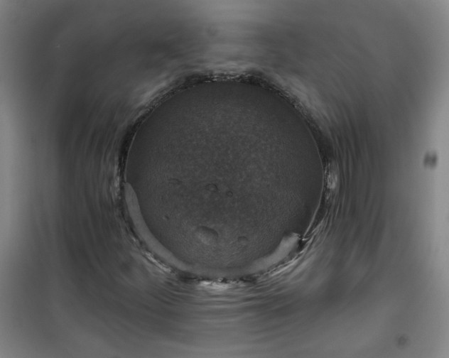 X0000101141252200807110934