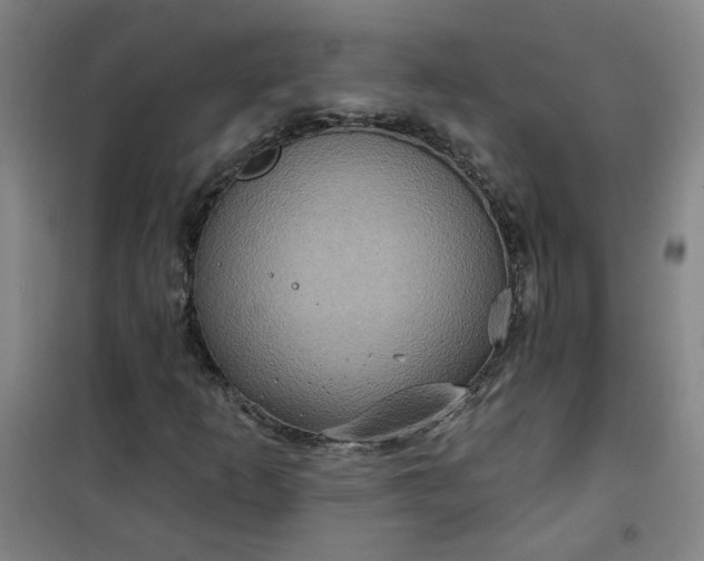 X0000101141253200807110934