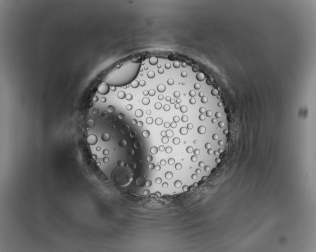 X0000101141255200807110934