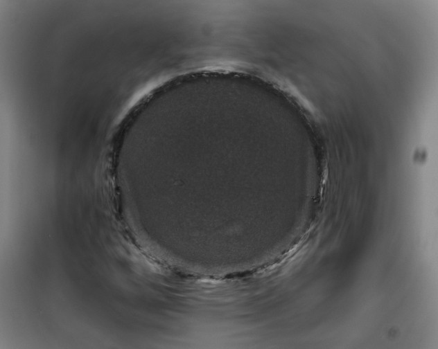 X0000101141256200807110934