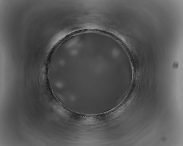 X0000101141263200807110934