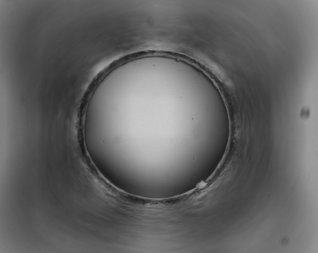 X0000101141264200807110934