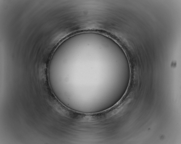 X0000101141265200807110934