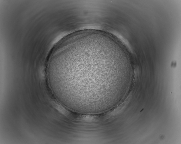 X0000101141266200807110934