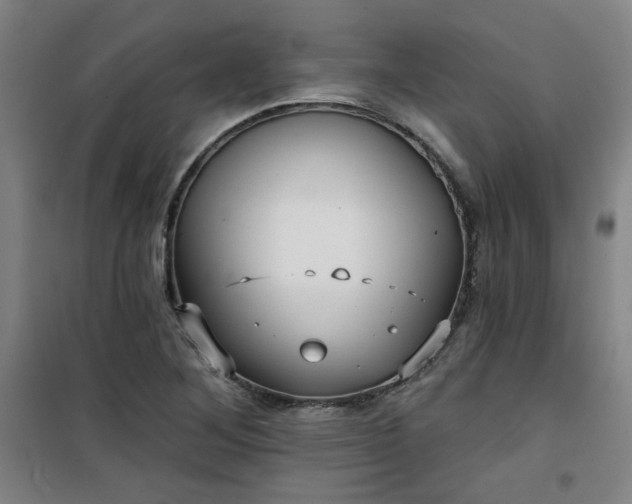 X0000101141268200807110934