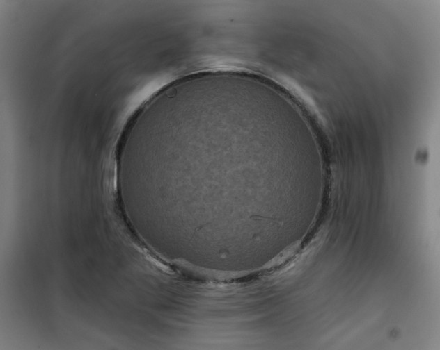 X0000101141269200807110934