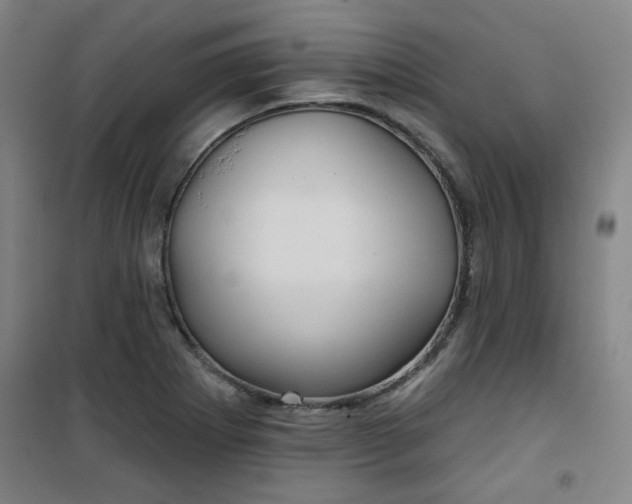 X0000101141273200807110934