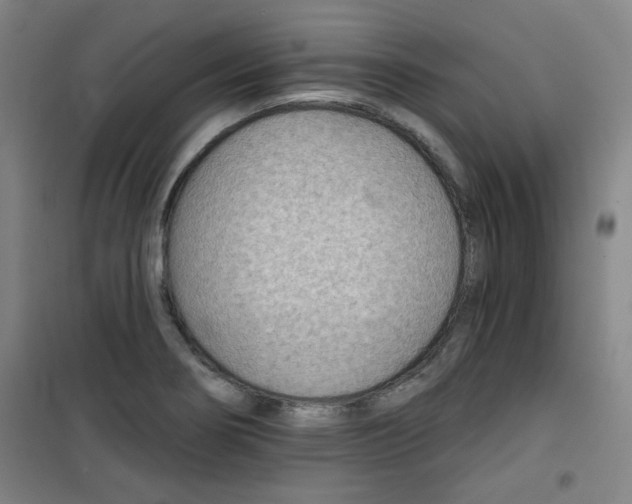 X0000101141274200807110934