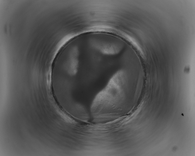 X0000101141275200807110934