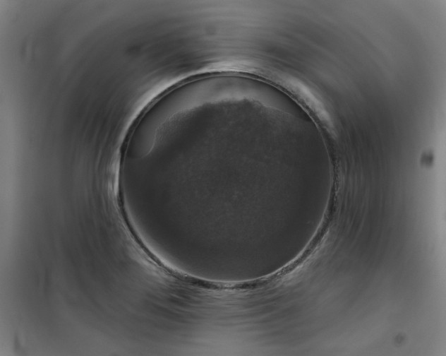 X0000101141276200807110934