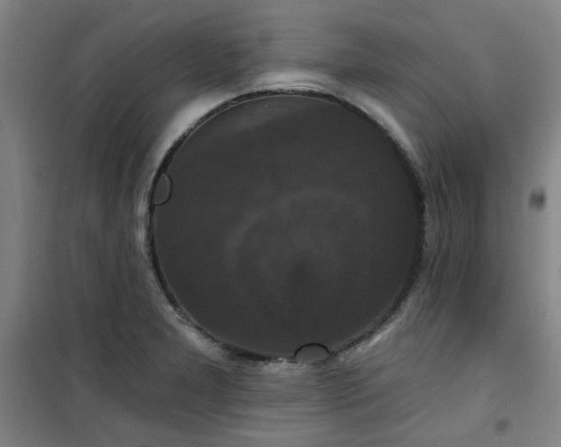 X0000101141277200807110934