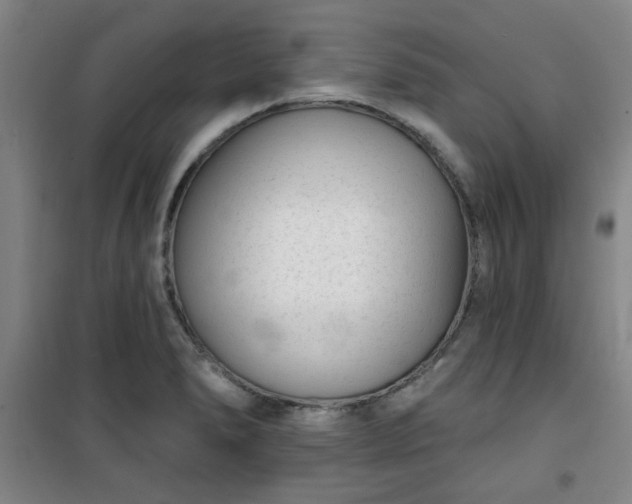 X0000101141278200807110934