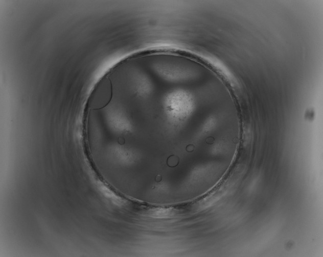 X0000101141279200807110934