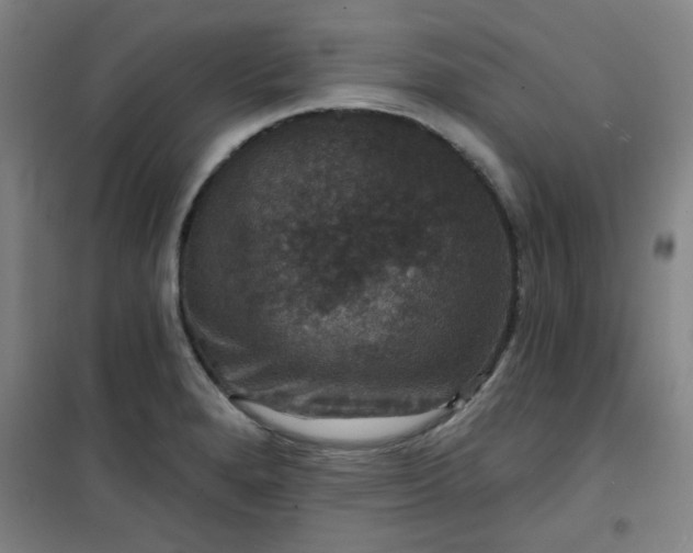 X0000101141280200807110934