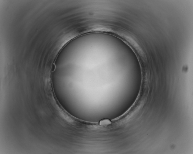 X0000101141281200807110934