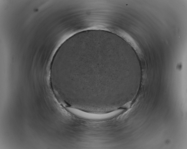 X0000101141284200807110934