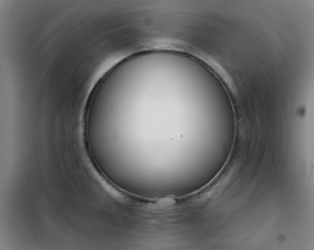 X0000101141285200807110934