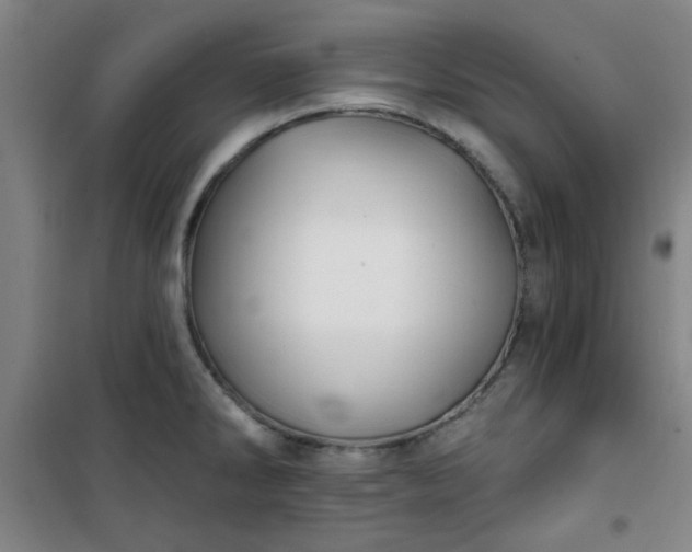 X0000101141286200807110934