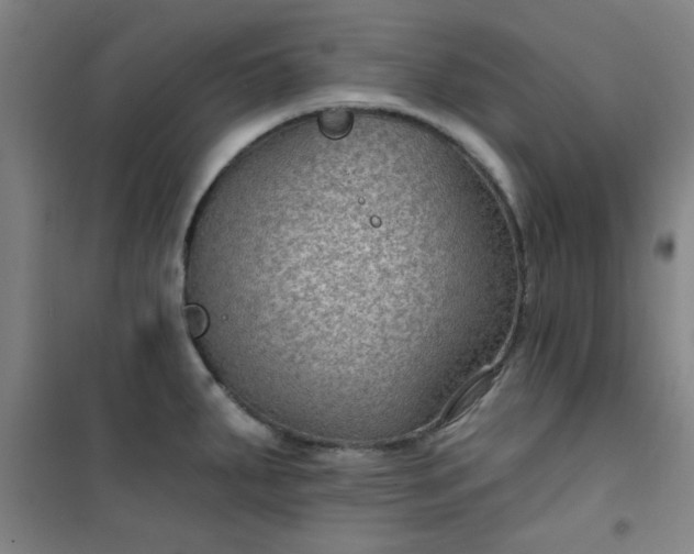 X0000101141287200807110934