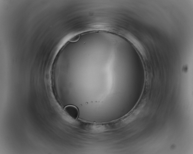 X0000101141291200807110934