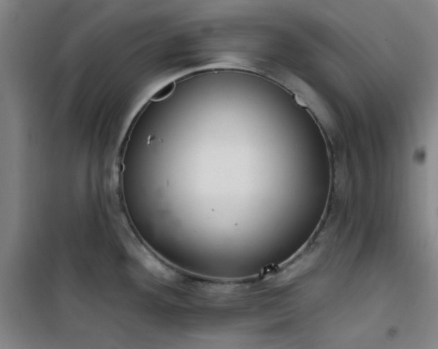 X0000101141292200807110934