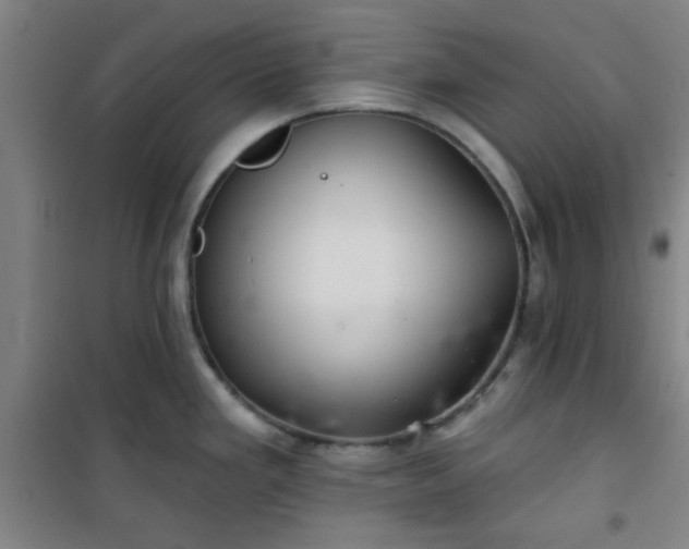 X0000101141293200807110934