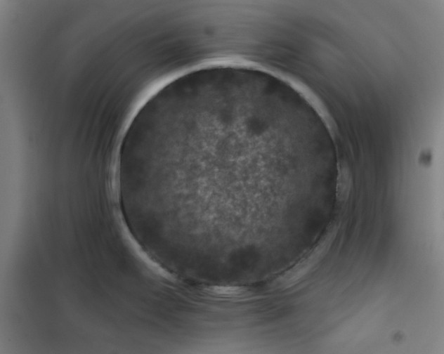 X0000101141295200807110934