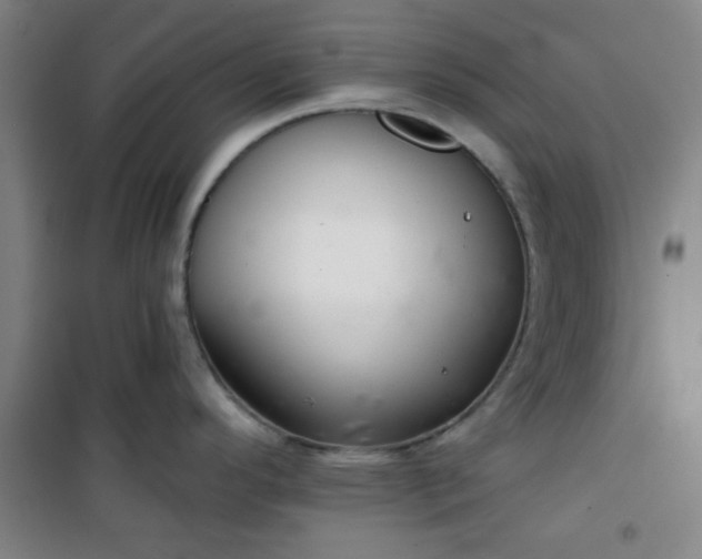 X0000101141296200807110934