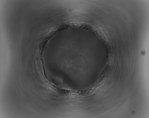 X0000101141297200807110933