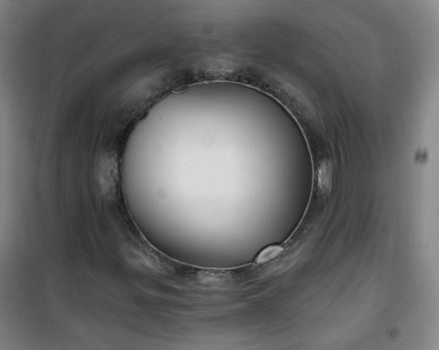 X0000101141299200807110933