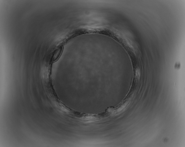 X0000101141300200807110933