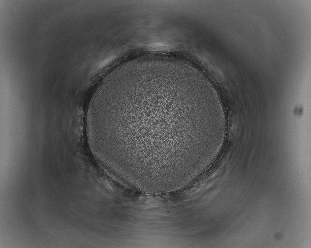 X0000101141301200807110933