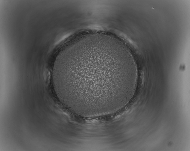 X0000101141302200807110933