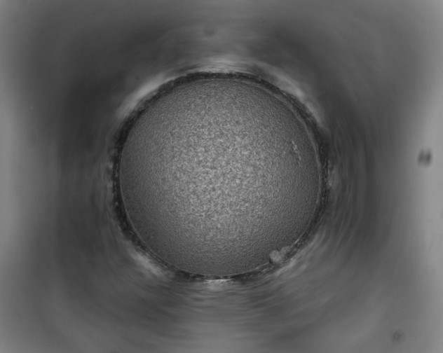 X0000101141304200807110933